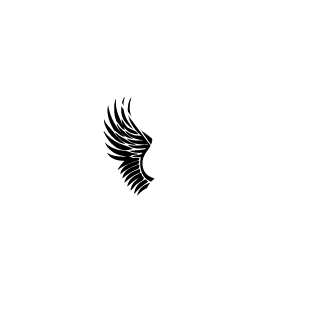 IRIK_CHIRIK_86's emblem