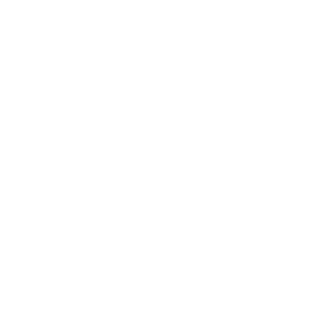 antip-nk's emblem