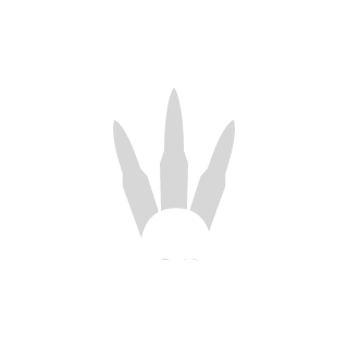 369d7f412fee33cb's emblem