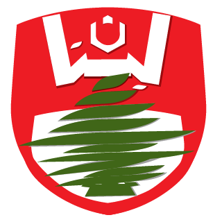 MANYAK911's emblem