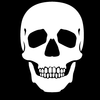 cptvasilyzaytsev's emblem