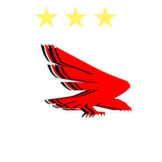 Training Team's emblem
