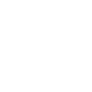 LoonyBF's emblem