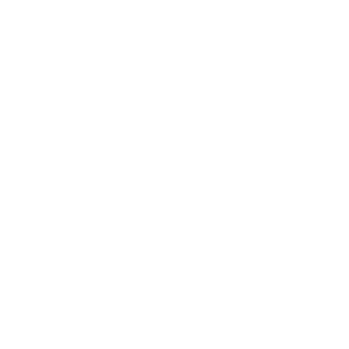 CampingSeagull's emblem
