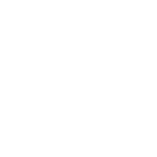 Leviets's emblem