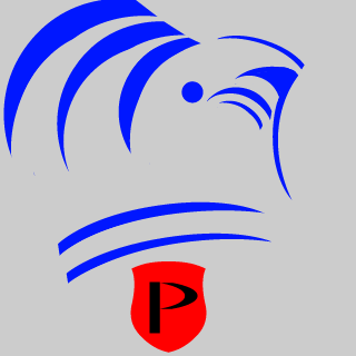 nicuzz1770's emblem