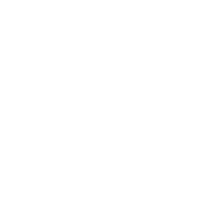 WIOSNA8688's emblem
