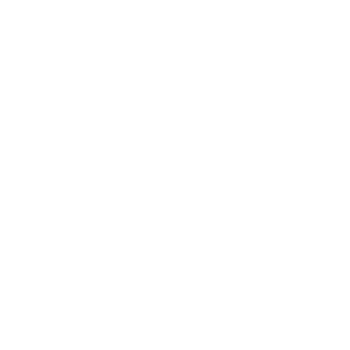 ZumZumZizu's emblem