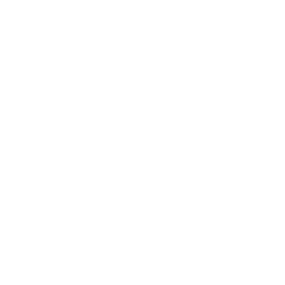 WR-Crossfiteiro's emblem