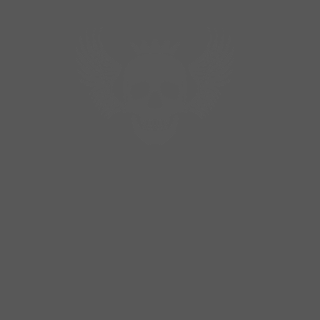 _foolish1984's emblem