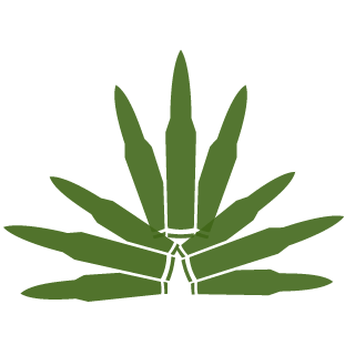IcKY99's emblem