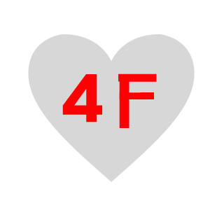 4Fun Team Polska's emblem