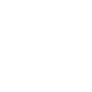 46Aerosedan's emblem