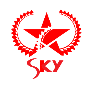 CLEARSKY333's emblem