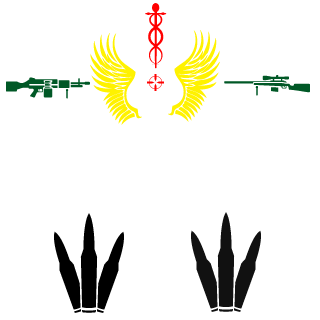 Roner1960's emblem