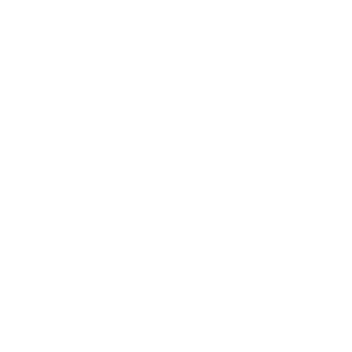 kingfrance666's emblem