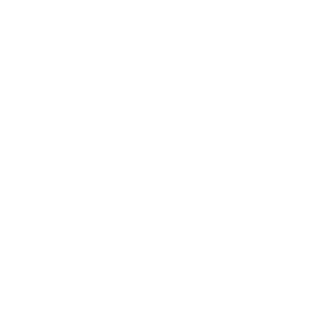 12_Sgt's emblem