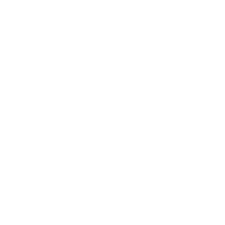 saints_crow's emblem