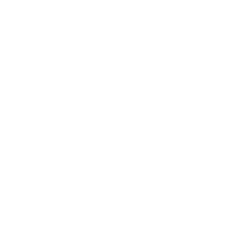 GzXRacing's emblem