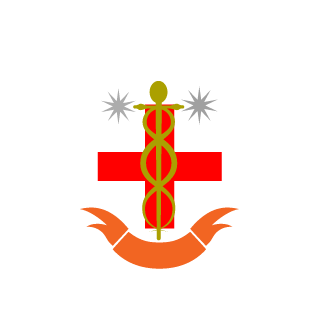 SilvercheaS2's emblem
