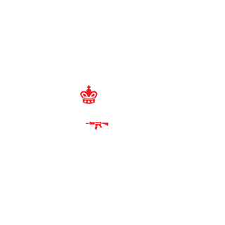 Felion96's emblem