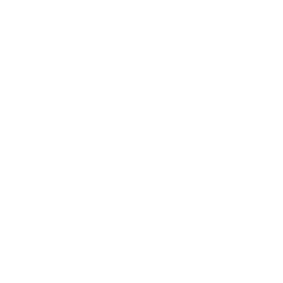 MindzX's emblem