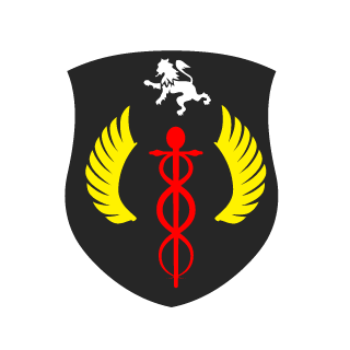 893007339's emblem
