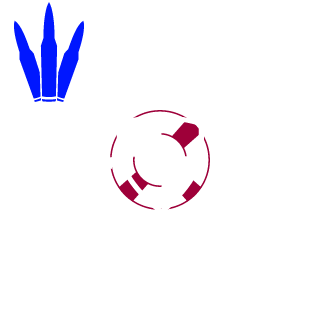 OaSiSMaTaNeBeAcH's emblem