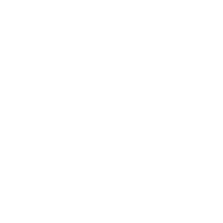 Redfox005's emblem