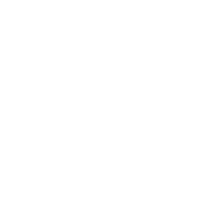AllenGoose's emblem
