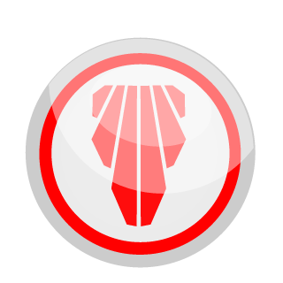 4NYI's emblem