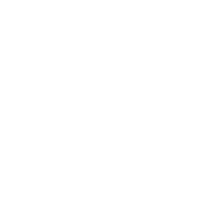 Ant1m3r's emblem
