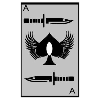 CaptainBucket9's emblem