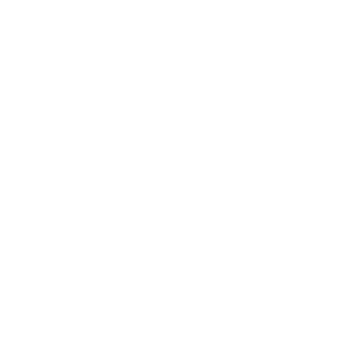 IIIIICHAVOIIIII's emblem