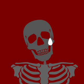 1RuimDemais's emblem