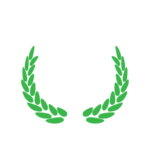 zSkyWalker_0's emblem