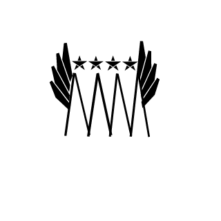 TheRobosco's emblem