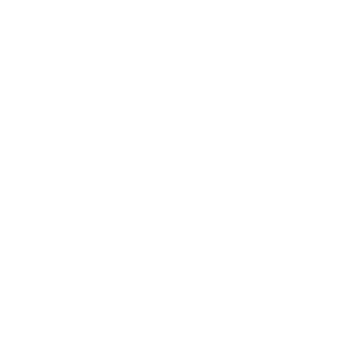 US 1CR Eagle's emblem