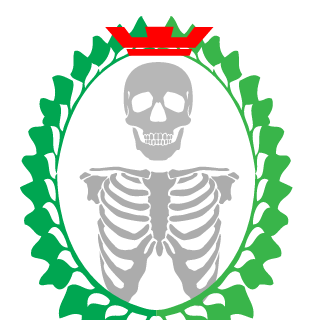 sasaboomzx2's emblem