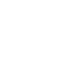C0MBAT__ACE's emblem
