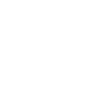 LEESSSSSSSSSS's emblem