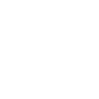 BounceMeister's emblem