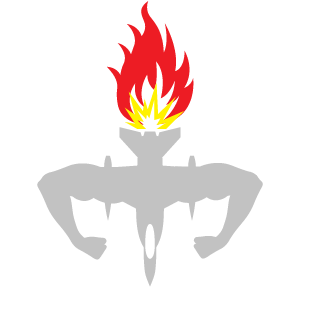 DigitalShift's emblem