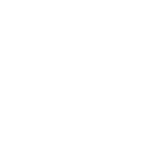 Rotozey31RUS's emblem