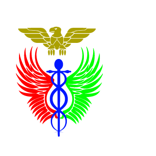 Riper9500's emblem