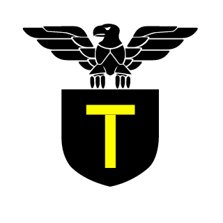 TenZ404's emblem