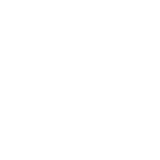 atakan7200's emblem