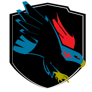 FlyBoyZ's emblem