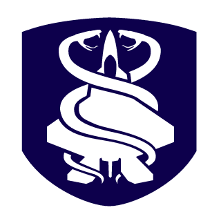 RioSoft-1's emblem