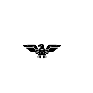 Caaaike's emblem